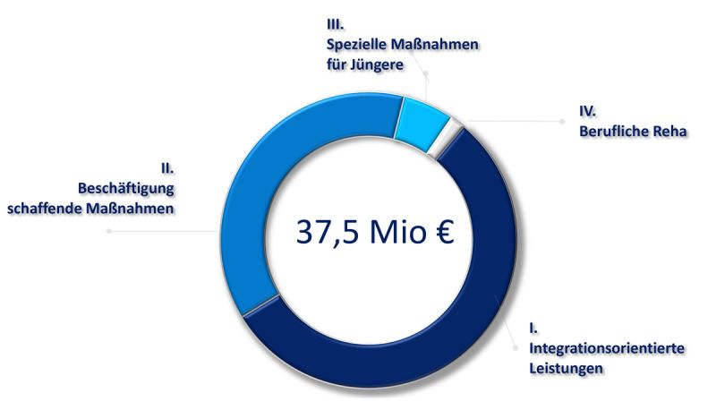 Diagramm: Eingliederungs- und Verwaltungskostenbudget